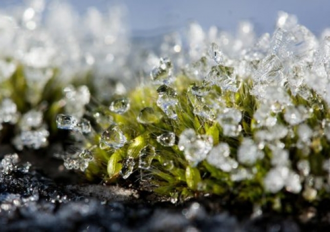 冬春過渡中年人穿鞋悶?zāi)_如何是好？什么鞋子保暖又透氣？