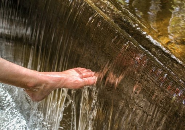 艾葉泡腳的方法-用艾草泡腳時(shí)，要記住禁忌哪些，很多人不懂，總是泡錯(cuò)？